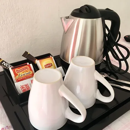 Cesa Planber Mountain View Ski-in Ski-out Готель типу 